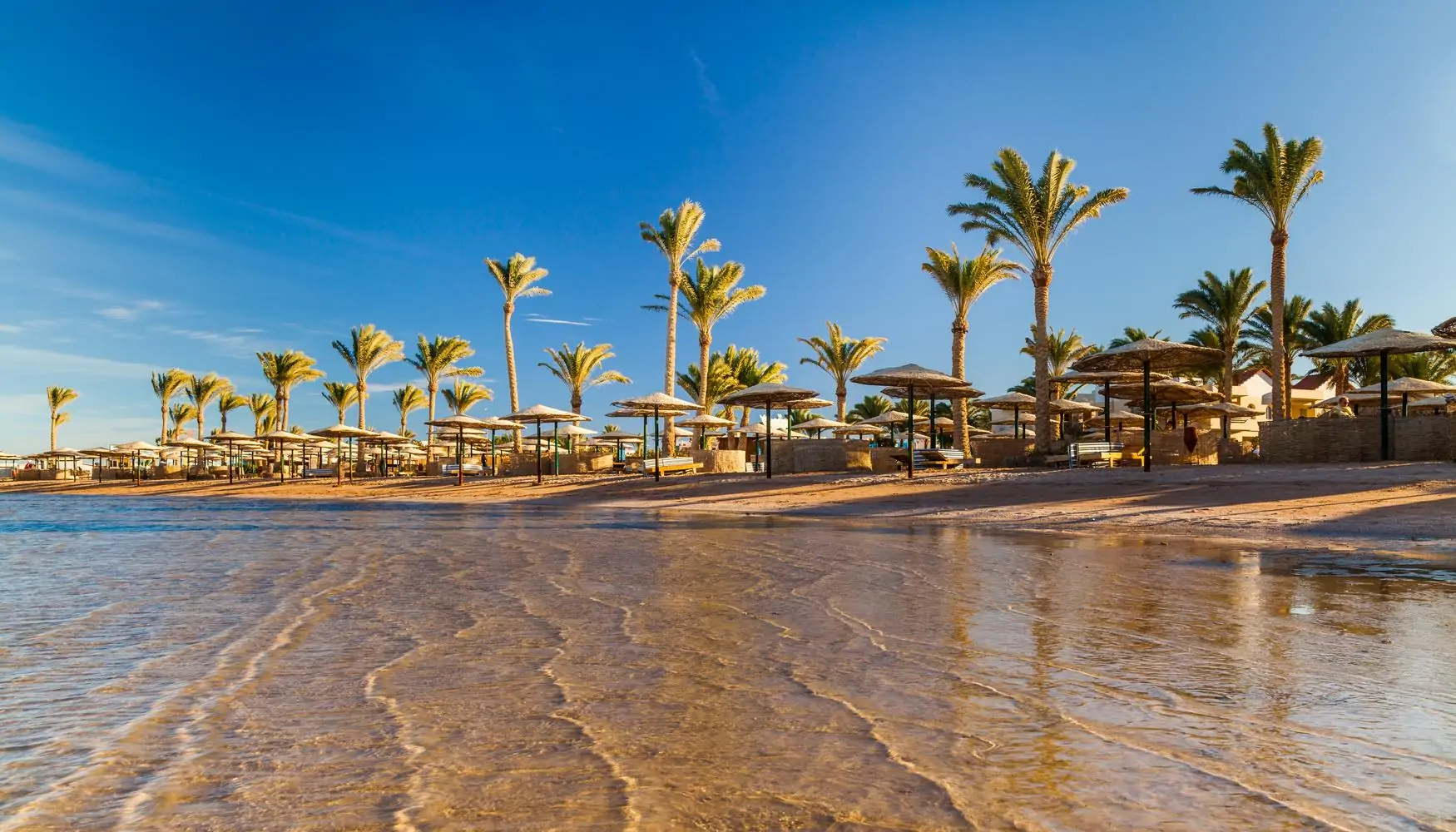 Expert-Led Private Tours | ROBINSON SOMA BAY