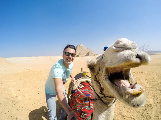 Click to open image!